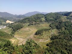 -紫鹊界梯田景区
