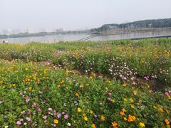 -海珠湖公园