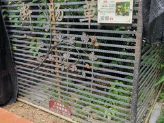 -广州神农草堂中医药博物馆