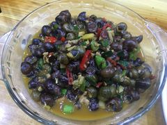 -全乐鱼馆·淳牌有机鱼直营店
