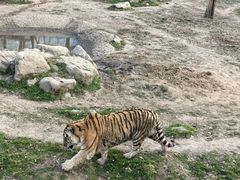 -西安秦岭野生动物园