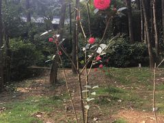 -昆明市金殿名胜区