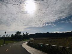 -云漫湖生态度假公园