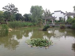 iphone_upload_pic-武汉紫薇都市田园