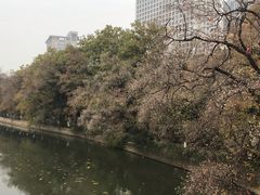 -包公祠