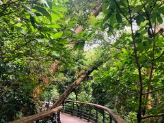 -深圳仙湖植物园