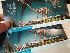 -自贡恐龙博物馆