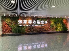 -张家界荷花国际机场
