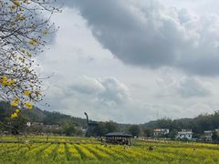 -红山村