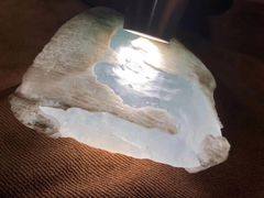 -瑞丽独树成林风景区