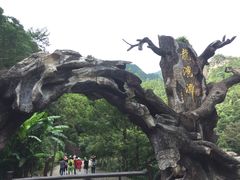 -龙湾潭国家森林公园