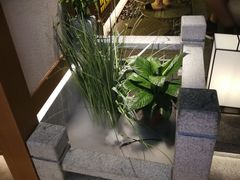 -首秀·四川料理(星耀101店)