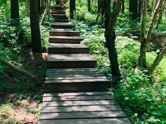 -白草畔自然风景区