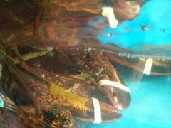 -渔中舟海鲜大排档(普陀沈家门店)
