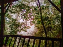 -青城山