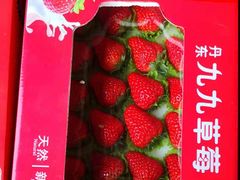 -韩家墅海吉星农产品批发市场
