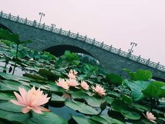 -江南大学(蠡湖校区)