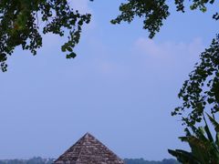 -瑶湖郊野森林公园