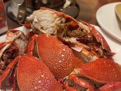-济南喜来登酒店-盛宴自助西餐厅·综合自助