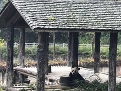 -碧峰峡风景区