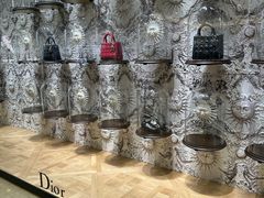 -Dior迪奥(国贸商城店)