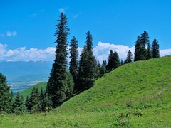 -新疆那拉提国家旅游度假区