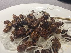 -鹊华居·地道鲁菜·海鲜·融合味(大明湖店)