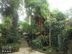 -郑州植物园