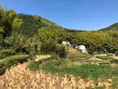 -灵山景区梯田