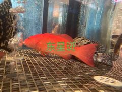 -官也街澳门火锅(新源里店)
