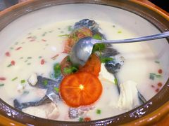 千岛湖浓汤鱼头-全乐鱼馆·淳牌有机鱼直营店