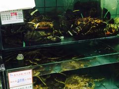 -海岛渔村大酒店(云霄路店)