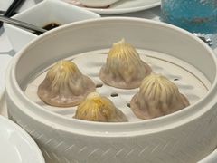 -圆苑(静安寺店)