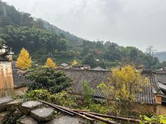 -杨家堂村