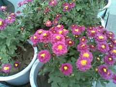 景点-人民防洪胜利纪念塔