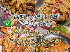 -日照海滨国家森林公园