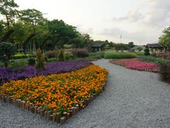 -映月湖公园