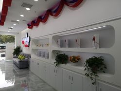 -莱可美科技美肤