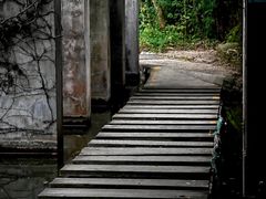 -燕晗山郊野公园