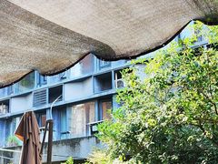 -帕帕拉兹宠物(亚洲旗舰店)