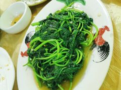 -潮粤啫啫煲大排档