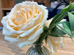 -十一咖啡(青年大街工厂店)