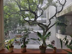 -何东旧居