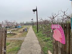 -乌村