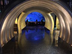 -迪拜帆船酒店海底餐厅