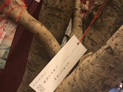 -当当梅溪书院(步步高梅溪新天地店)