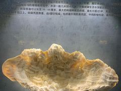 -河南自然博物馆