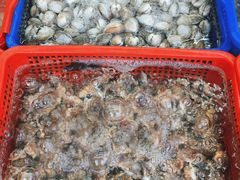 -南蚝小贝海鲜特色餐厅(南澳岛店)