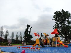 -铁山坪森林公园