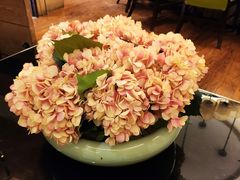 -同庆楼(滨湖万达广场店)